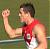 SouthSwans